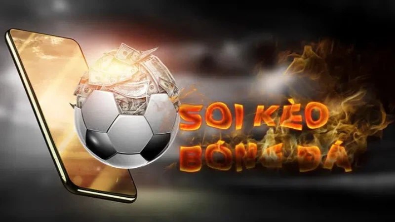 Có hiểu biết về đội bóng và trận đấu sắp cược