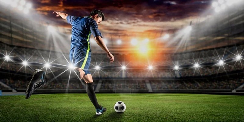 Lựa chọn nhà cái