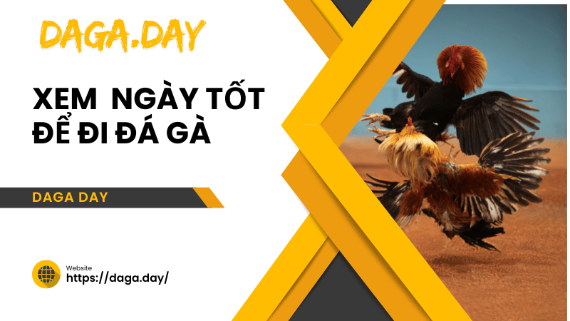 xem ngày tốt để đi đá gà