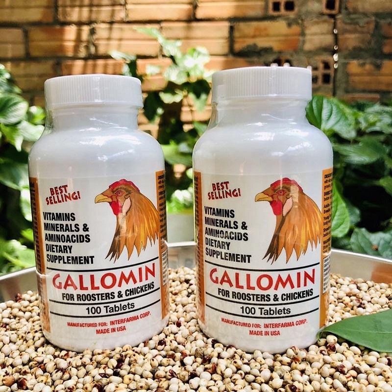 Thuốc gà đá Gallomin sở hữu nhiều ưu điểm vượt trội