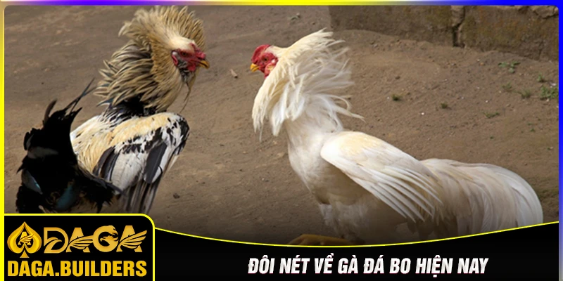 doi-net-ve-luyen-ga-da-bo-hien-nay