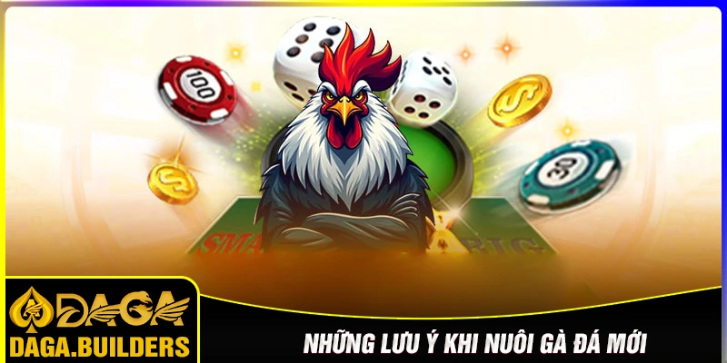 Lưu ý quan trọng khi nuôi gà đá mới