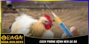 Phòng bệnh hen gà đá
